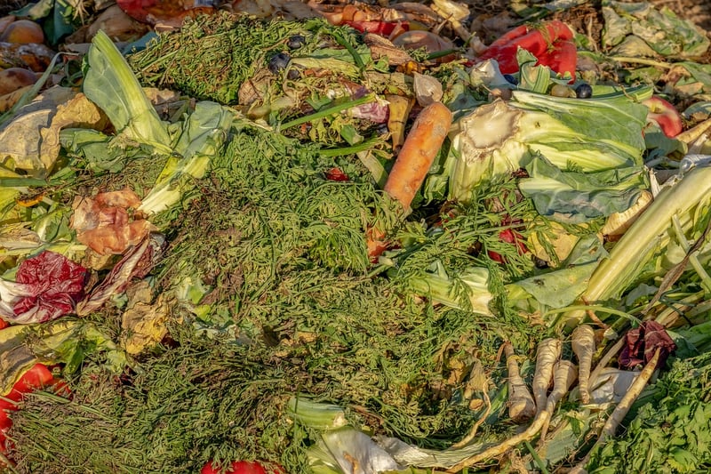 Enchanted Compost